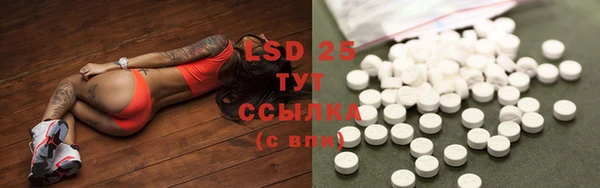 ПСИЛОЦИБИНОВЫЕ ГРИБЫ Алексеевка
