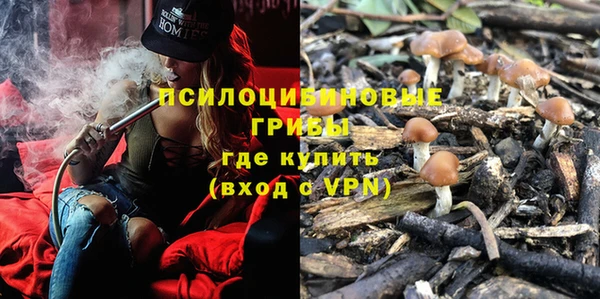 ПСИЛОЦИБИНОВЫЕ ГРИБЫ Алексеевка